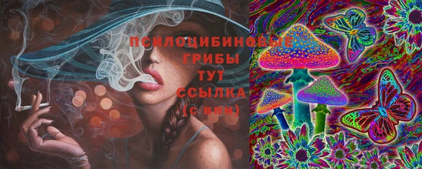 дмт Аркадак