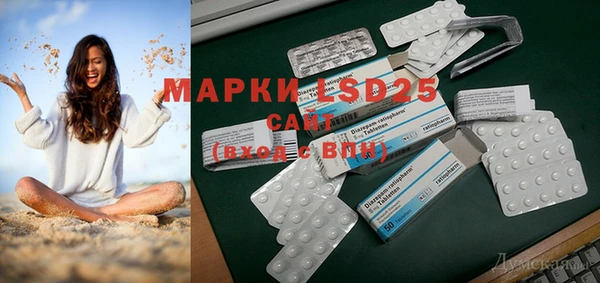 дмт Аркадак