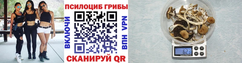 Псилоцибиновые грибы Magic Shrooms  Шлиссельбург 